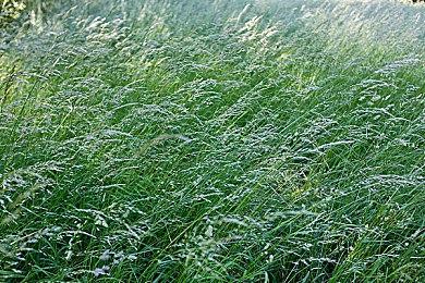 《魔咒之地》PC版支持Auto HDR超宽屏＆PS5手柄